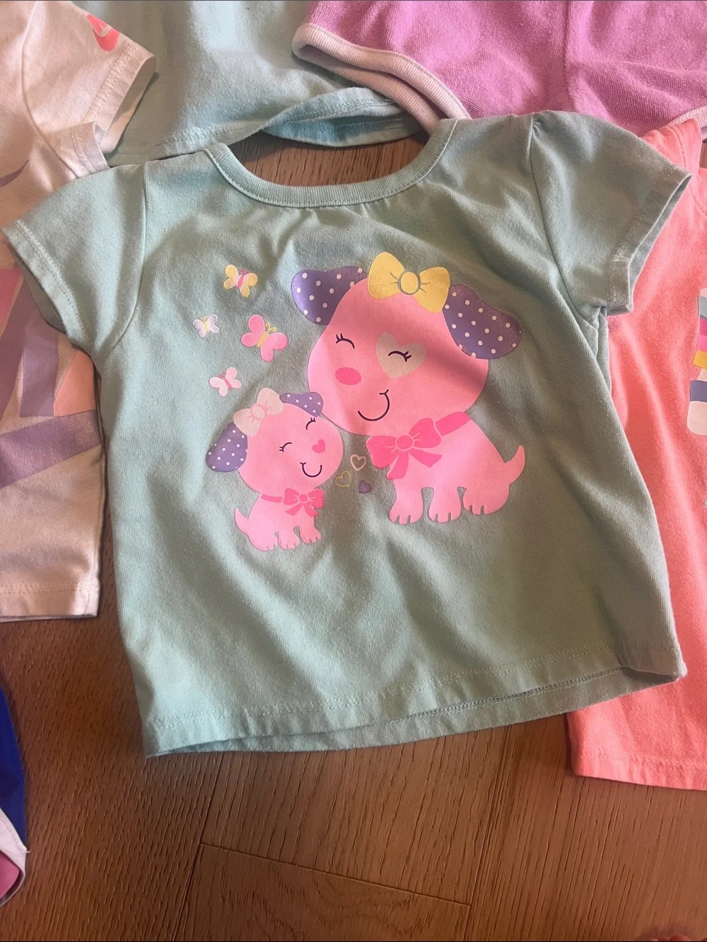 18 Month girls set